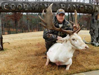 exotic big game hunting tennessee