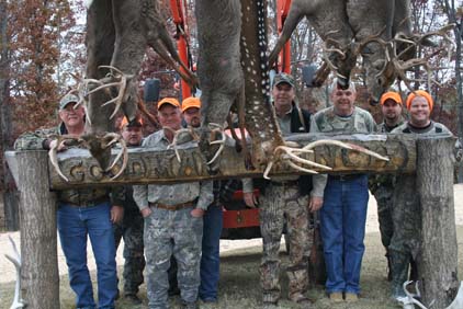 Whitetail Deer Hunting Tennessee