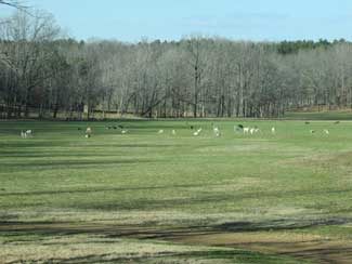 Hunting Ranch/Preserve Tennessee